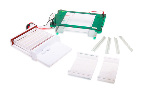 Electroforesis horizontal YR03420